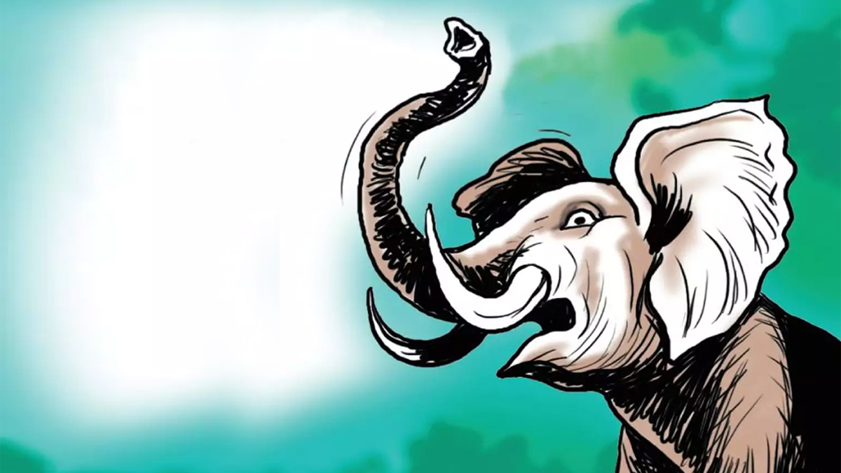 झापामा १० वर्षमा हात्तीको आक्रमणबाट ५६ जनाको मृत्यु